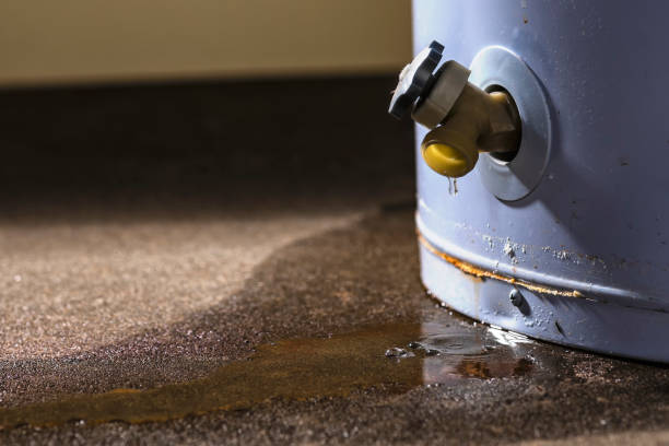 Best Basement water damage restoration  in Wheeler Af, HI