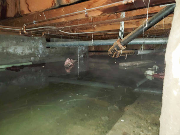 24/7 water damage repair in HI
