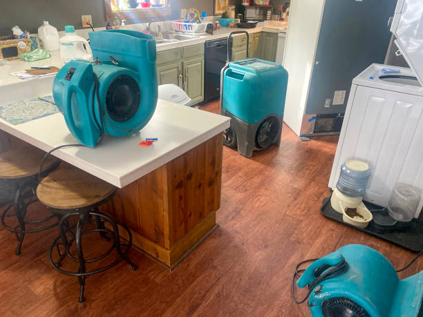 Best Water damage restoration near me  in Wheeler Af, HI