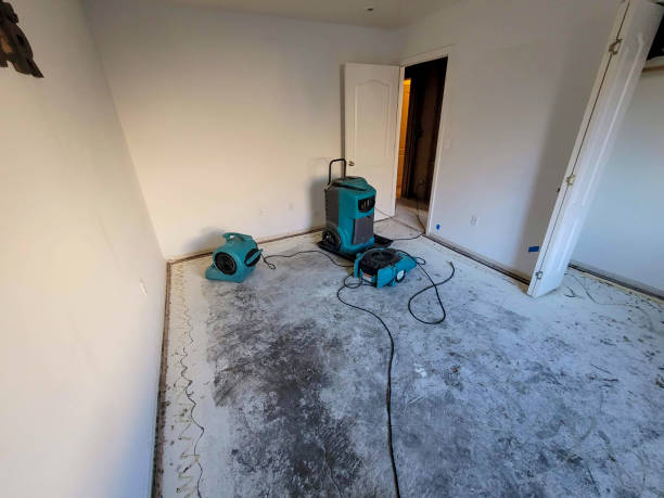 Best Local water damage restoration  in Wheeler Af, HI