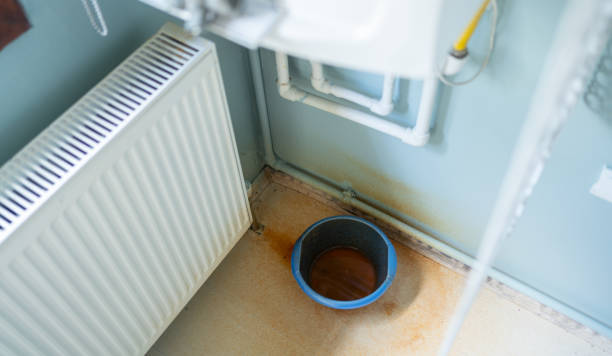 Best Water damage restoration near me  in Wheeler Af, HI