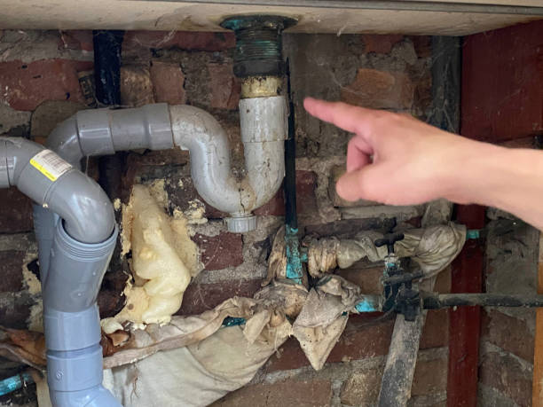 Best Residential water damage restoration  in Wheeler Af, HI