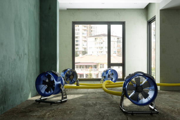 Best Water damage restoration company  in Wheeler Af, HI